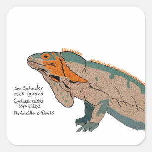 Quadrado Adesivo de Lagarto de Rocha de San Salvador