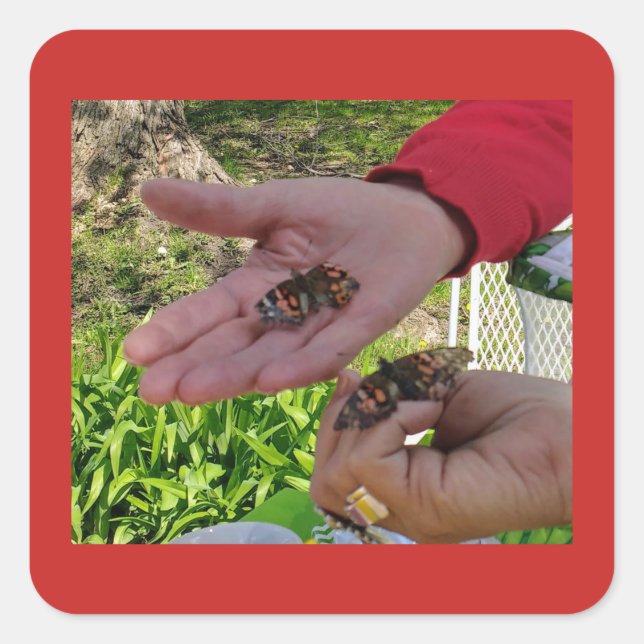 Quadrado Adesivo de libertação da borboleta (Frente)