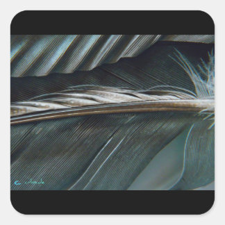 Quadrado adesivo de penas