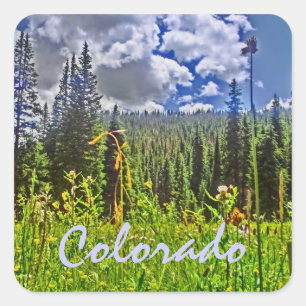 Quadrado Adesivo de primavera do Colorado