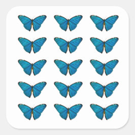 Quadrado Adesivo de selo de envelope: Borboleta azul