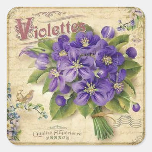 Quadrado Adesivo elegante de violetas florais vintage