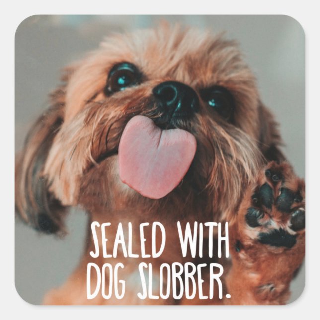 Quadrado adesivo engraçado (Frente)