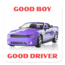 ADESIVO GRÁFICO DE CARRO MUSCULOSO BLEU BOM MOTORI