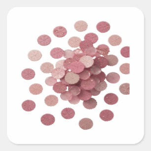 Quadrado Adesivo Gráfico de Folhas Rosa Prateadas Descoláve