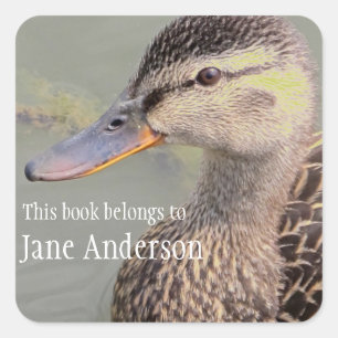 Quadrado Adesivo Personalizado da Mama Duck Bookplate