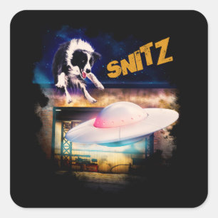 Quadrado adesivo Snitz do Reparo de Saucer de Bob