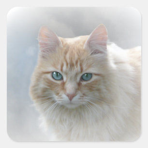 © quadrado AH2010 da etiqueta do gato dos olhos