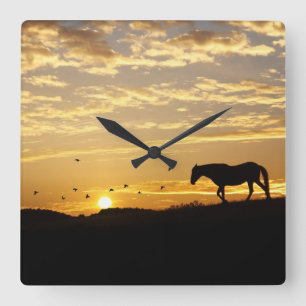 Quadrado Belo Cavalo no Relógio Solar