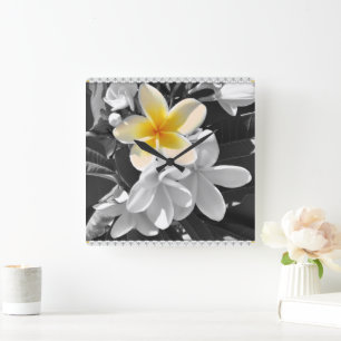 Quadrado Branco Preto Com Um Frangipani Amarelo, Relógio De