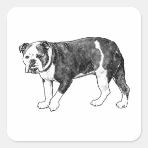 Quadrado Bulldog Divertido Ponto, Adesivo de Desenho Animad