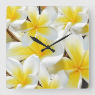 Quadrado Buquê Frangipani, Relógio de Muro Grande Quadrad
