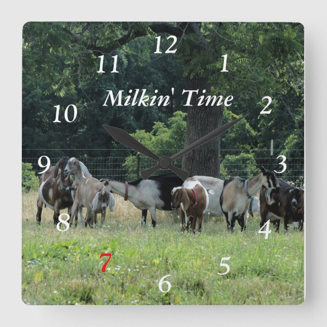 Quadrado Cabras Láteas Relógio - escolher tamanho (Frente)