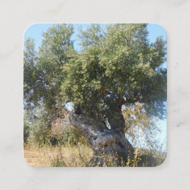 Quadrado Cartão de visita antigo estilo design de árvore (Frente)