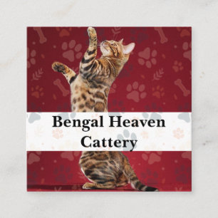 Quadrado Cartão de Visita Personalizado Cattery Bengal Heav