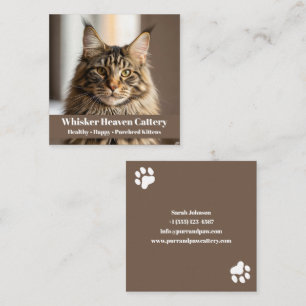 Quadrado Cartão de visita personalizável de cattery com Cat