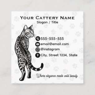Quadrado Cartão de Visita Personalizável de Cattery de Gato