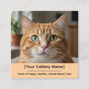 Quadrado Cartão de Visita Personalizável de Gatinho com Fot