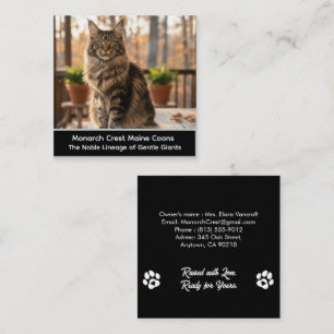 Quadrado Cartão de Visita Personalizável de Gatinho Maine C