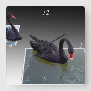 Quadrado Cisnes Pretas Em Lente Dimensional, Relógio De Par