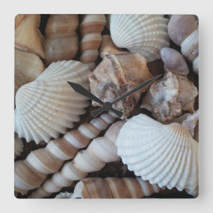 Quadrado Conchas do Mar, Verão Praia Exótica Relógio Tro