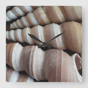 Quadrado Conchas do Mar, Verão Praia Exótica Relógio Tro