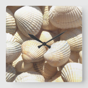 Quadrado Conchas do Mar, Verão Praia Exótica Relógio Tro