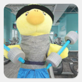 Quadrado Danny Duck na academia Adesivo