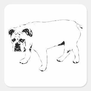 Quadrado Dia Alegre, Adesivo Bulldog