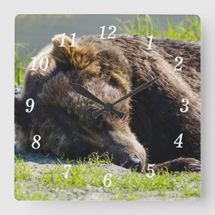 Quadrado Dormindo no Alasca, Urso Grizzly, Relógio de Pared