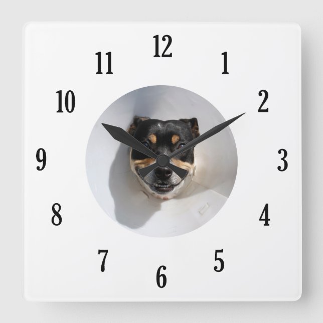 Quadrado Engraçado relógio de cão sorridente (Frente)