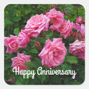 Quadrado Feliz aniversário Gene Boerner Rosa Nº 2 Adesivo