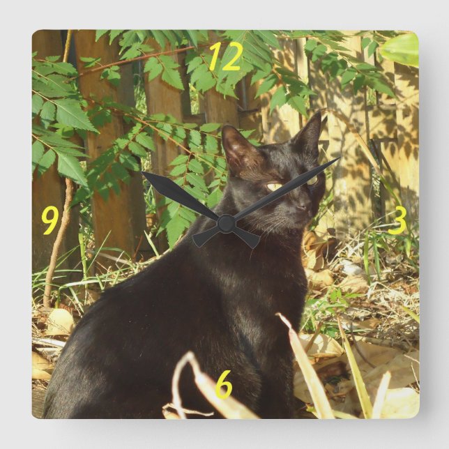 Quadrado Gato Negro no Relógio da Parede Sol da Manhã (Frente)