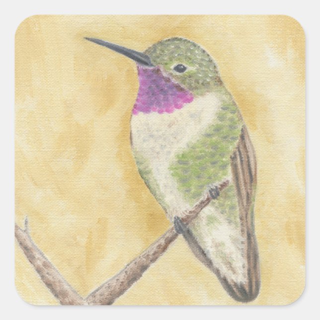 Quadrado Hummingbird num adesivo de Ramificação (Frente)