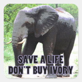Quadrado Não Comprar Ivory, salve o adesivo de um elefante