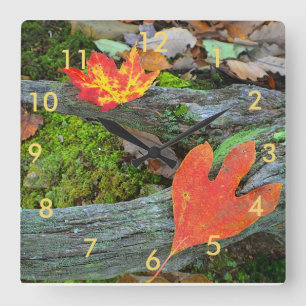 Quadrado O Autumn Deixa O Relógio