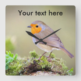 Quadrado O relógio Robin personalizável adiciona seu própri