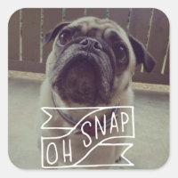 Oh, Snap! Adesivo