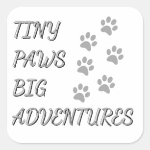 Quadrado Patas Pequenas, Grandes Aventuras Adesivo