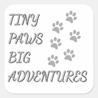 Quadrado Patas Pequenas, Grandes Aventuras Adesivo