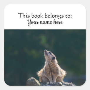 Quadrado Pequeno Meerkat "Este livro pertence a" adesivo
