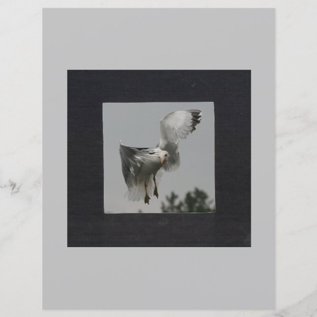 Quadrado Preto em Moldura de Foto Cinza (Frente)