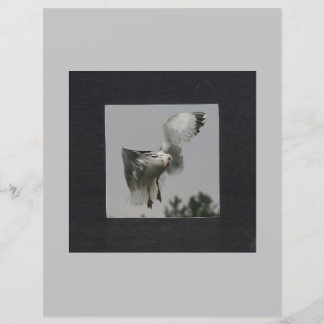 Quadrado Preto em Moldura de Foto Cinza