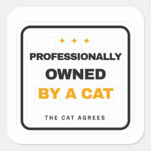 Quadrado Proprietário Profissional de um Gato Adesivo Diver
