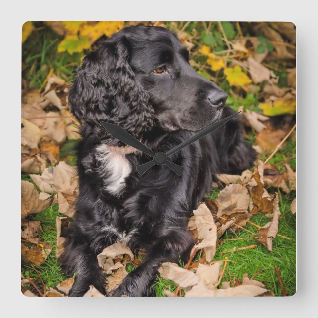 Quadrado Relógio (Frente)