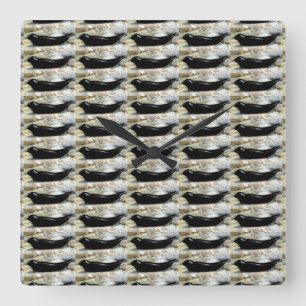 Quadrado relógio das focas do porto preto