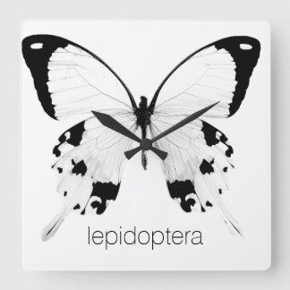 Quadrado relógio de borboleta preto e branco