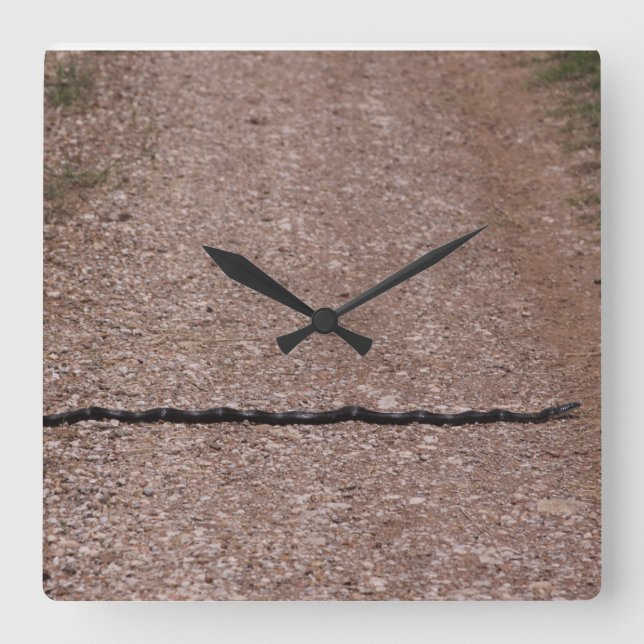 Quadrado Relógio de Cobra de rato (Frente)