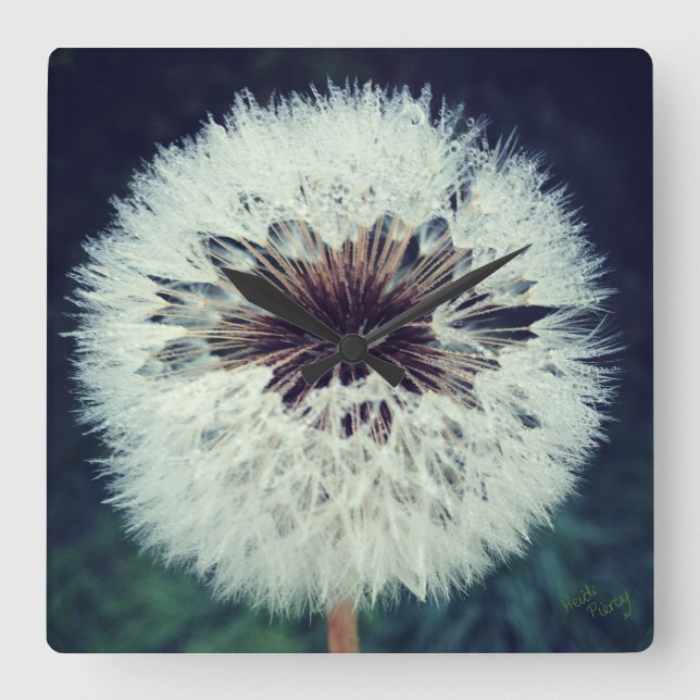 Quadrado Relógio de Dandelion Dewy... Relógio! (Frente)