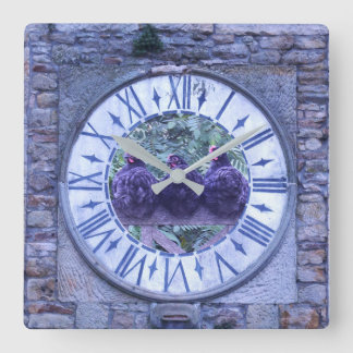 Quadrado Relógio de Galinhas